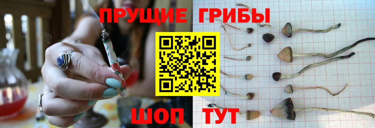 Галлюциногенные грибы прущие грибы  Вход с VPN  Галлюциногенные грибы мицелий  Ялуторовск 